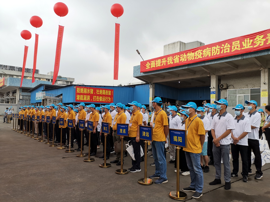 图片01.jpg
