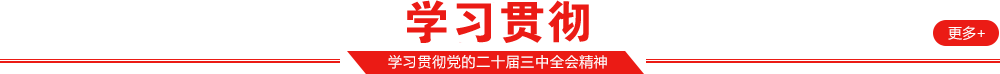 学习贯彻
