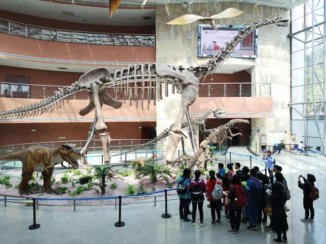 微信图片_20190131162737.jpg